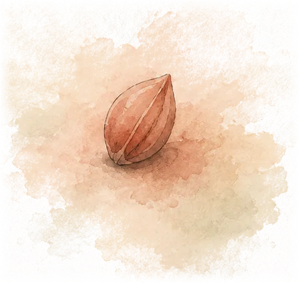 A seed, held — the week 1 flower
