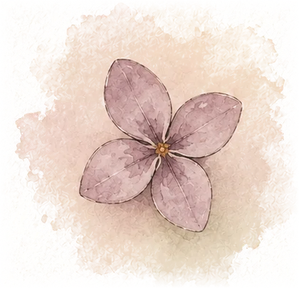 Lilac floret — the week 5 flower