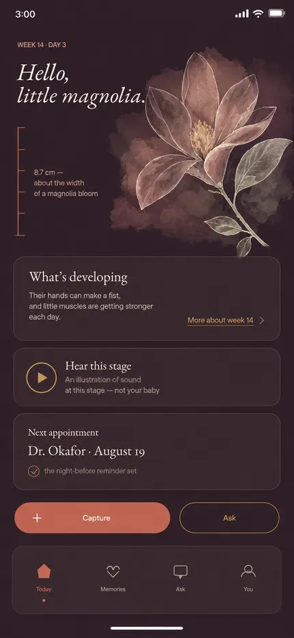 Zohra’s authored dark theme at 3:00 a.m. — a plum page, gold accents