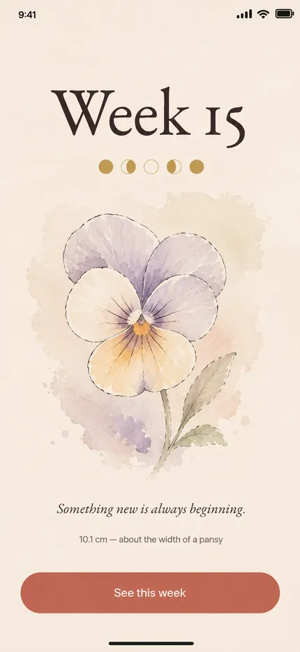 Zohra’s weekly page turning — the new week’s flower opening